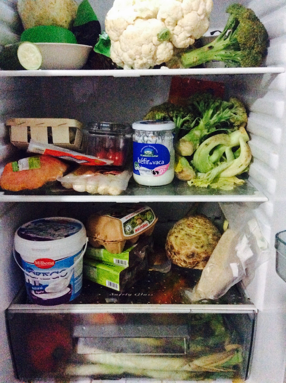 fridge with dumpster dived food